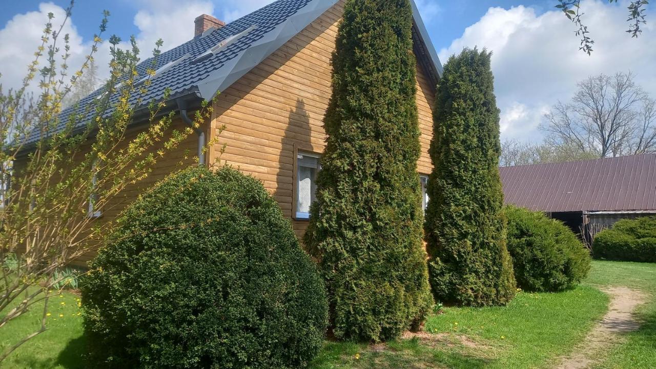 Dom Do Wynajecia Bocianie Gniazdo Lejlighed Augustów Eksteriør billede